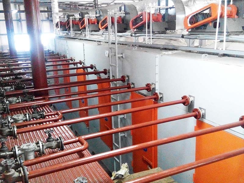 Egg Carton Production Line in Russia