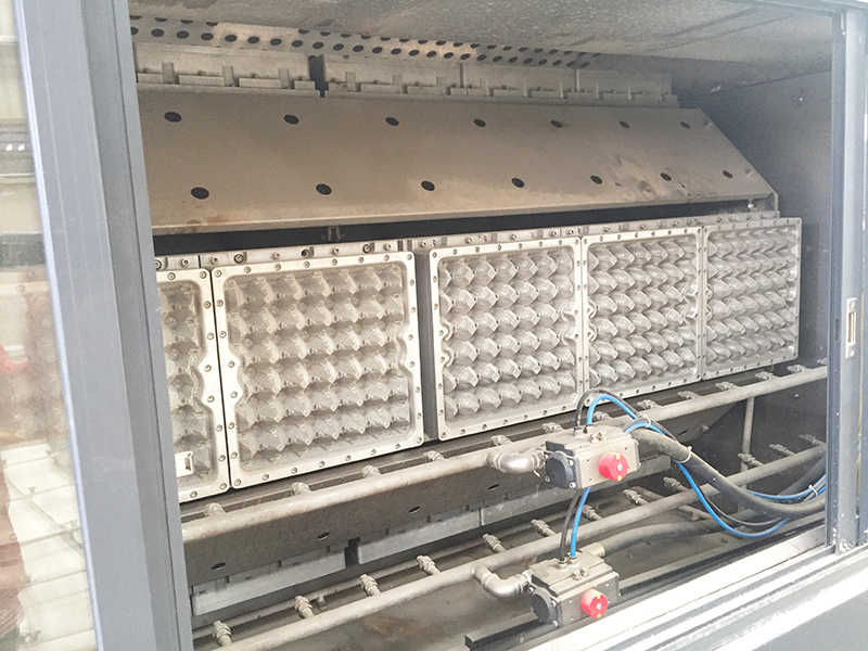 Egg Tray Production Line in Egypt