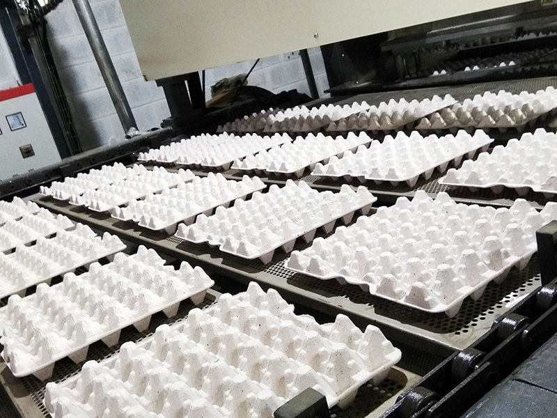Egg Tray Production Line in Dominica
